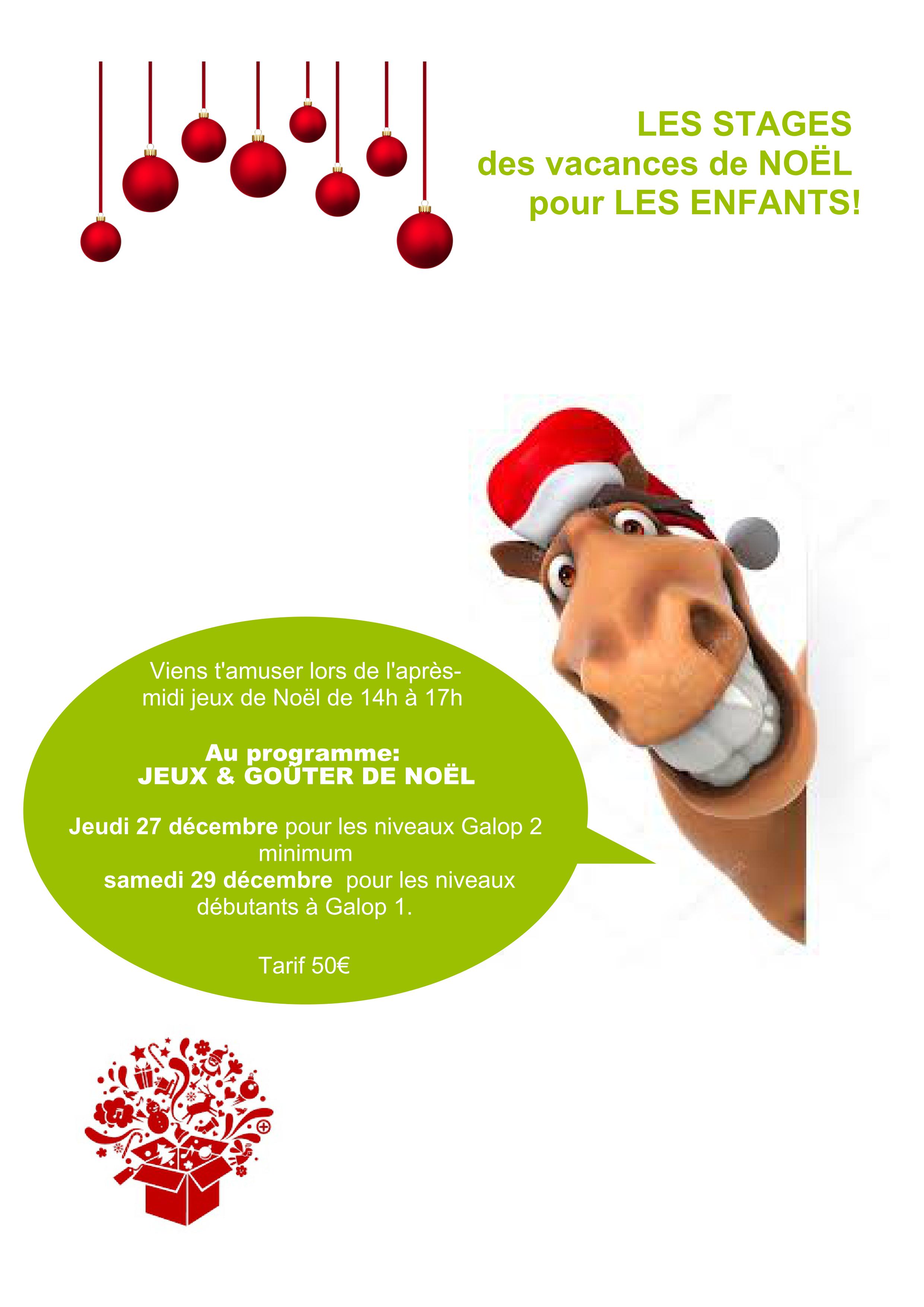 Stages enfants de Noel, Easy horse